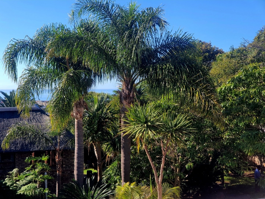 3 Bedroom Property for Sale in Menkenkop Western Cape
